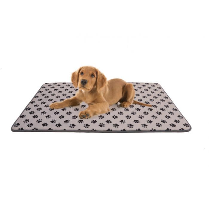 PuppyPad